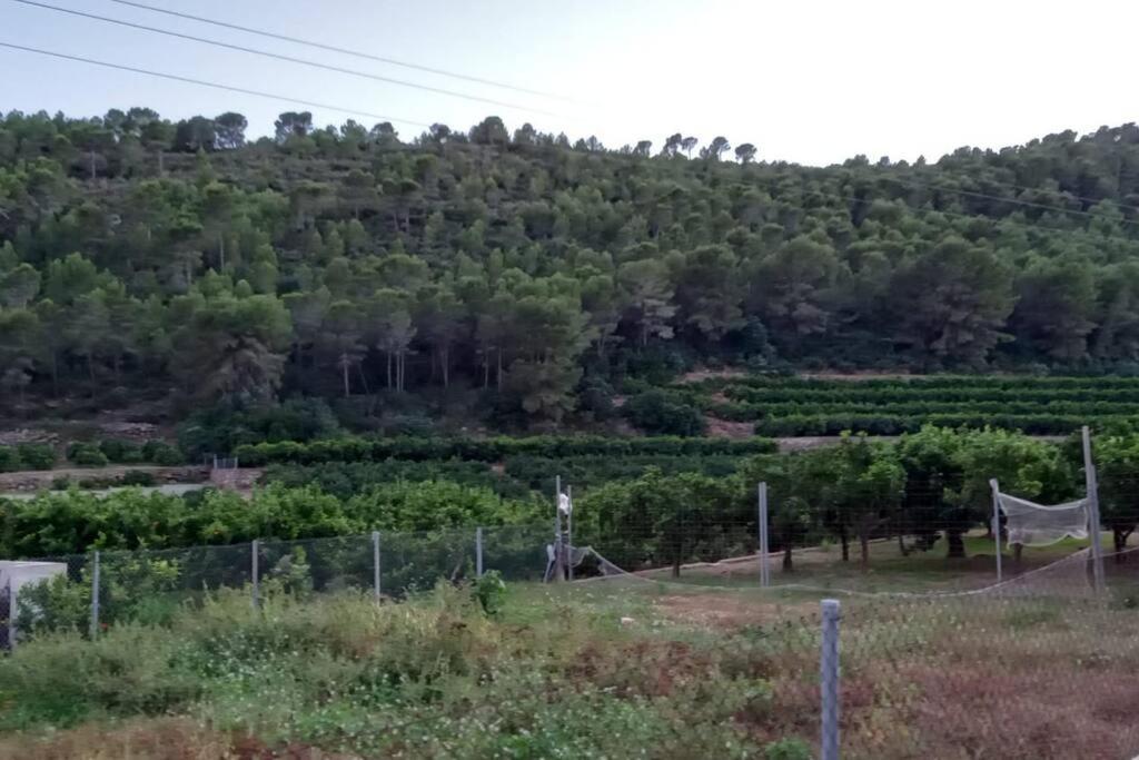 Favareta Terraced House In Natural Essence מראה חיצוני תמונה